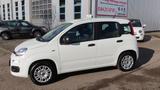 Fiat Panda Easy1,2 69PS Weiss+Allwetterreifen