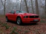 Ford Mustang 2.Hand  Top gepflegt Alarmanl... - Ford Mustang aus 2005