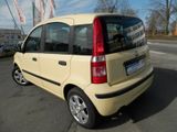 Fiat Panda 1.3 16V JTD Dynamic*Alu* - Fiat Panda aus 2008