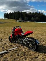 Ducati Monster 1200 Shark Highsider Performance - Offers matching your search criteria