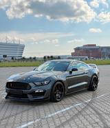 Ford Mustang Shelby GT350R / 5.2l / V8 - Ford Mustang: Gt350