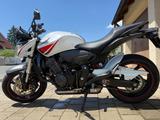 Honda Hornet CB600FA - HONDA 2010 HORNET 600