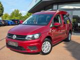 Volkswagen Caddy PKW Trendline BMT+Webasto+ParkLenk+ - : Standheizung, Pkw