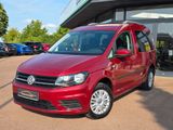 Volkswagen Caddy PKW Trendline BMT+Webasto+ParkLenk+ - : Standheizung, Pkw