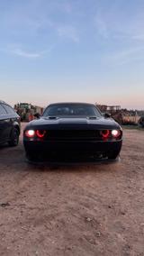 Andere Dodge Challenger - Andere: Sportwagen