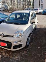Fiat Panda 1.2 Benzin - Fiat Panda Gebrauchtwagen in Berlin