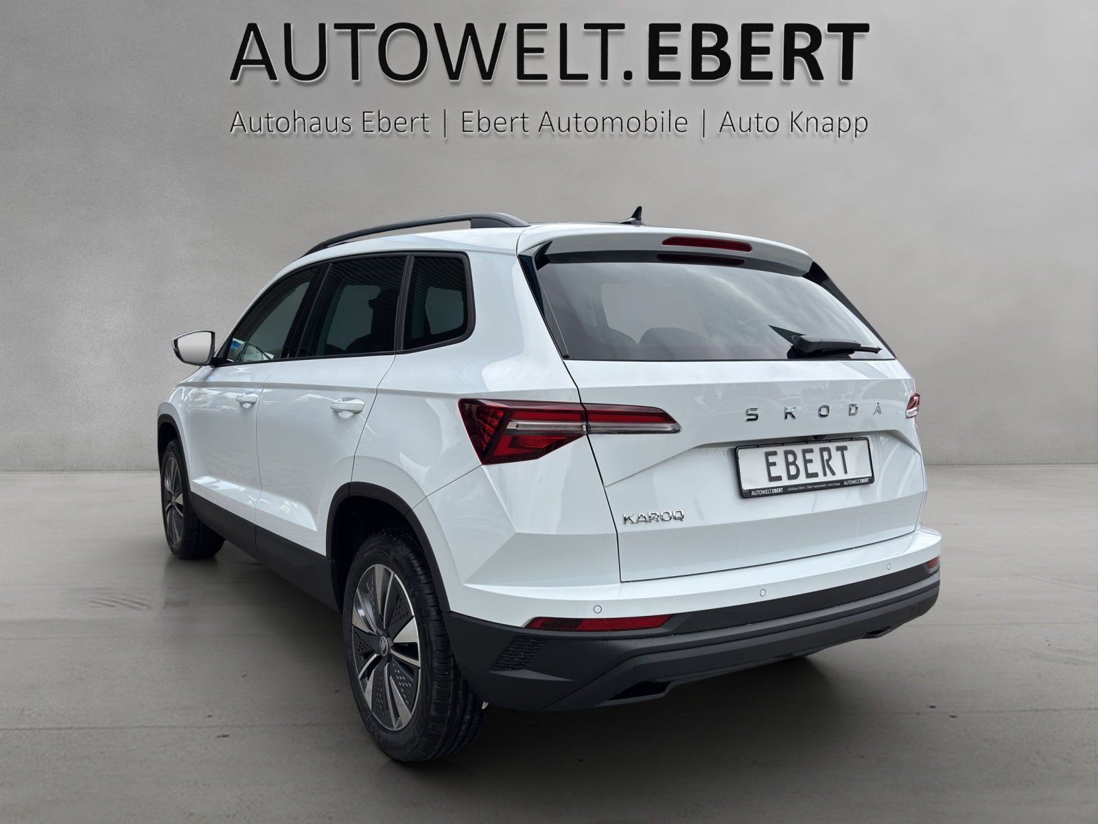 Fahrzeugabbildung SKODA Karoq Balance 1,5 TSI 110 kW DSG MATRIX/RFK/AHK