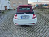 Fiat 500 Cabrio Ellenator - gebrauchte Fiat 500 aus dem Jahr 2019
