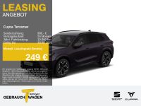 Cupra Terramar - Vorschau Bild 1