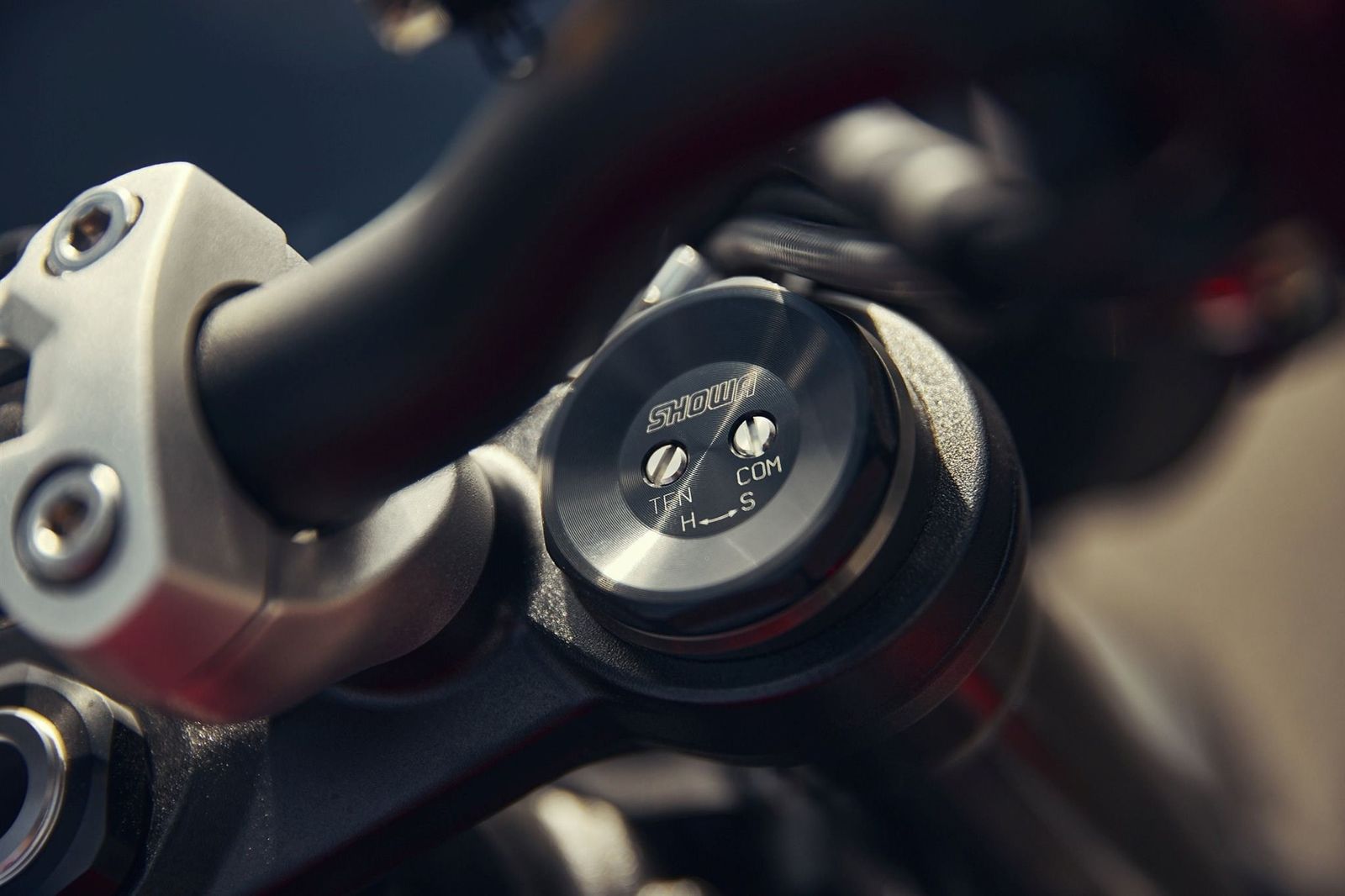 Fahrzeugabbildung Triumph Street Triple 765 RS EU 5_ SOFORT VERFÜGBAR