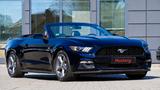 Ford Mustang 3.7 V6 MIT 2 JAHREN GARANTIE !!! - : V mit