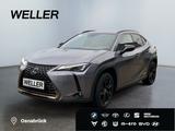 Lexus UX 250h Style Edition *Bi-LED*CAM*SHZ*CarPlay*PD - Lexus UX aus 2022