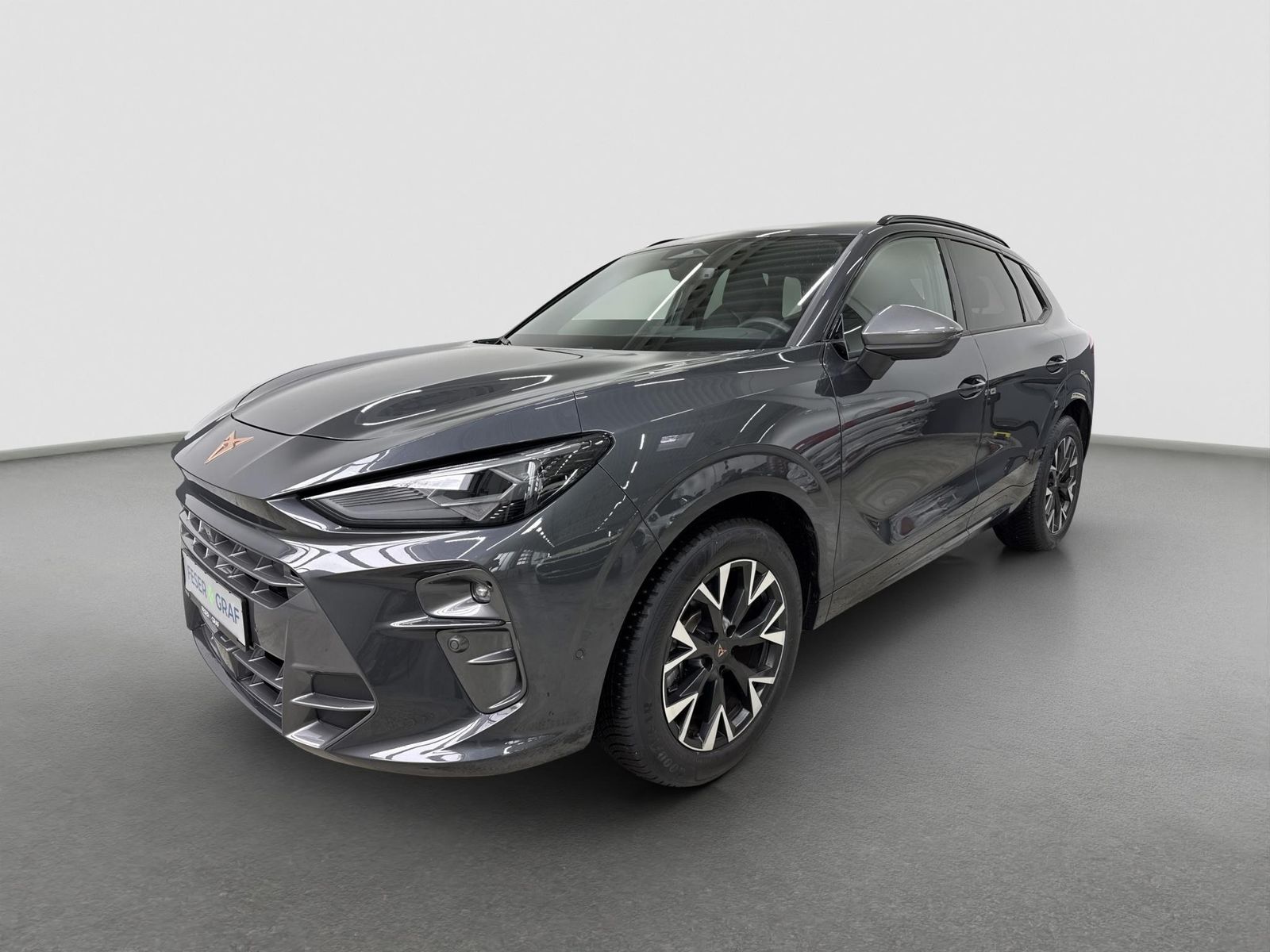 Cupra Terramar - Bild 13