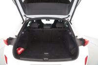 Cupra Terramar - Vorschau Bild 10