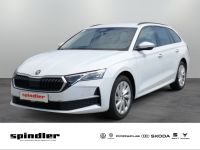 Skoda Octavia - Vorschau Bild 1