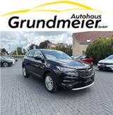 Opel Grandland (X)/AHK/Navi/Winter - Opel Gebrauchtwagen in Gütersloh