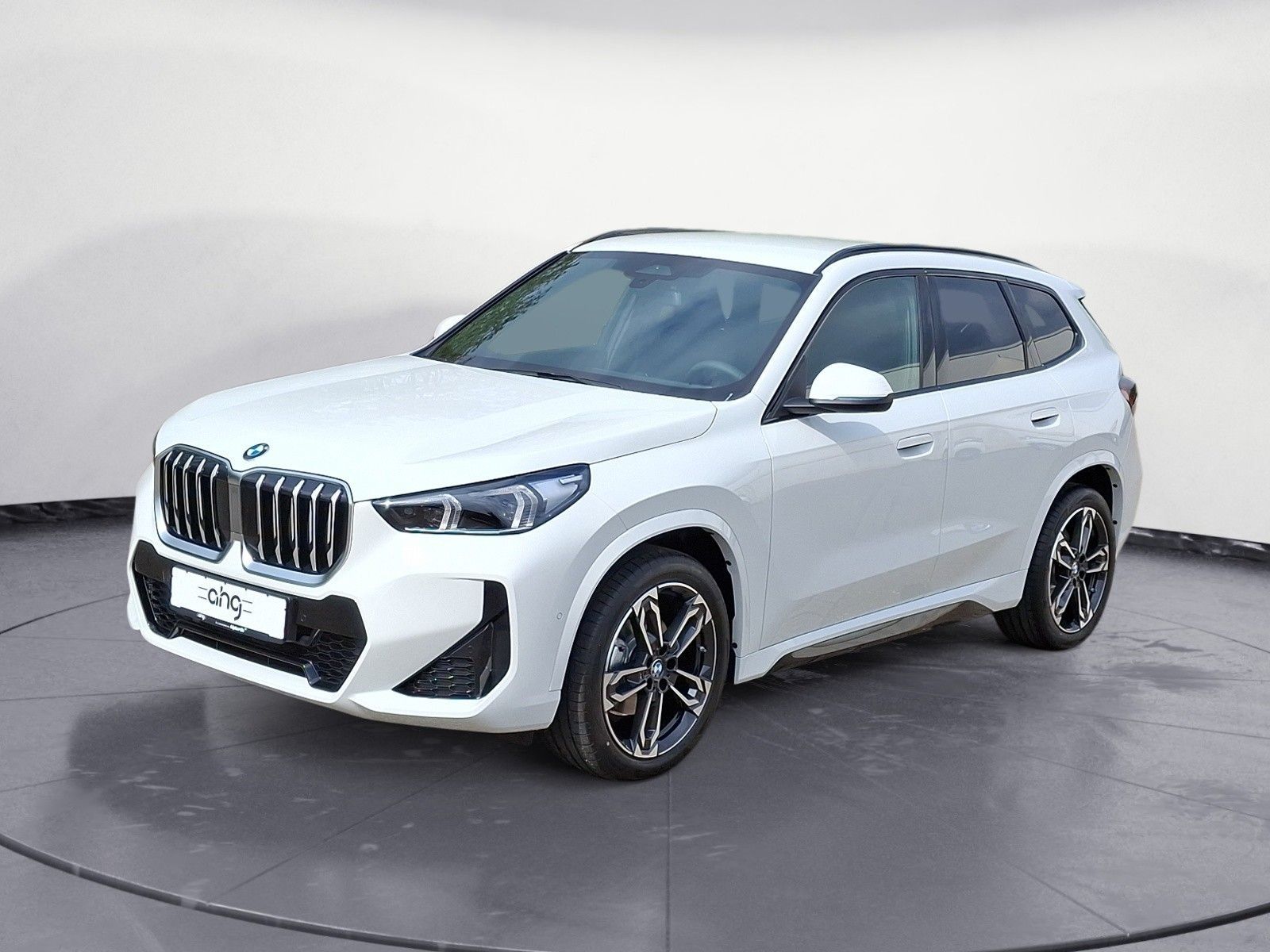 BMW X1 - Bild 2