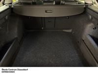 Skoda Octavia - Vorschau Bild 8
