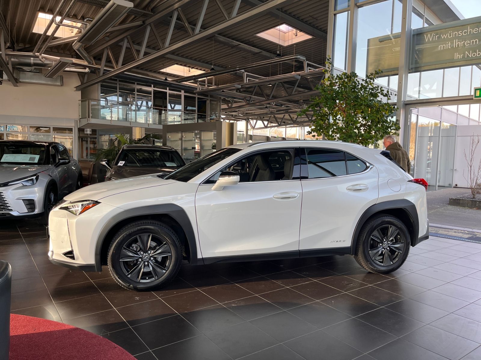 Fahrzeugabbildung Lexus UX 250 h Launch Edition LED NAV SHZ RFK