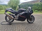 Triumph Daytona 955i - TRIUMPH DAYTONA 955I