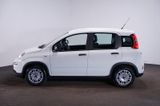 Fiat Panda 1.0 MY24 GSE Hybrid*Klima*4-Sitzer* - Fiat Panda: Sitzer