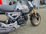 Honda MSX125 1. Hand wie NEU ! - HONDA MSX