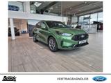 Ford Kuga 2.5 Duratec FHEV ST-LINE | WINTER Paket | - : Allradantrieb, Geländewagen