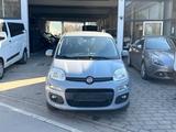 Fiat Panda Easy - graue Fiat Panda