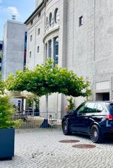 BMW xDrive50i M Sportpaket OEM Hamann 7-Sitzer Voll - BMW X5: Sportpaket