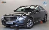 Mercedes-Benz S 350d BlueTEC 258PS Navi Totwinkel Kamera ACC - gebrauchte Mercedes-Benz S 350 aus dem Jahr 2014