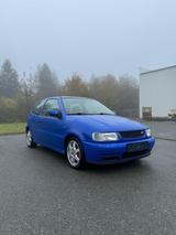 Volkswagen VW Polo 6N1 Color Concept - Volkswagen Polo: Concept