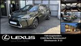 Lexus UX 250h FWD 2,0 HEV LUXURY*GHSD*Allwetterreifen* - Lexus UX mit Schiebedach