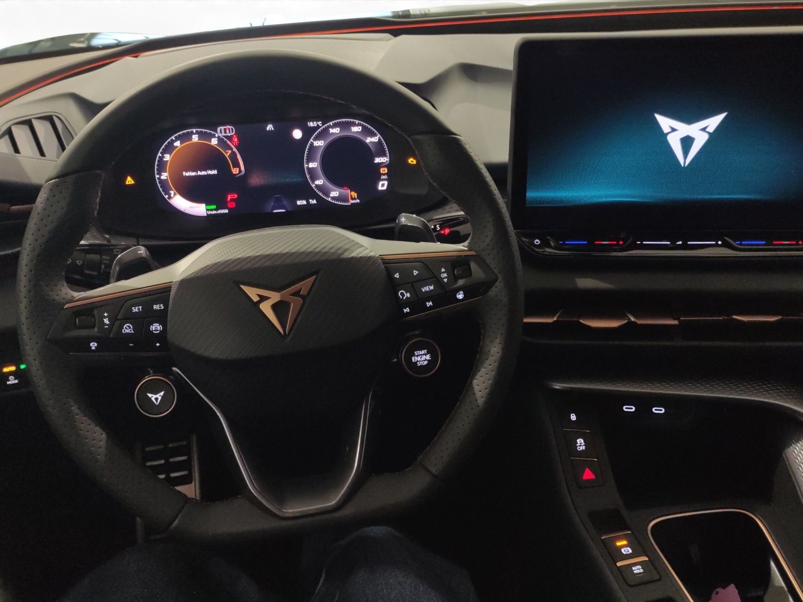 Cupra Terramar - Bild 13