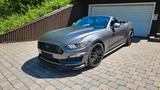 Ford Mustang 2.3 EcoBoost - - gebrauchte Ford Mustang aus dem Jahr 2015