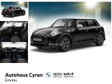 MINI Cooper NAVI DSG KLIMA LED PDC LM APPLE CBC BC - MINI MINI aus 2022