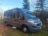 Fiat Ducato, Camper, Camping Bus - Fiat Ducato: Camper