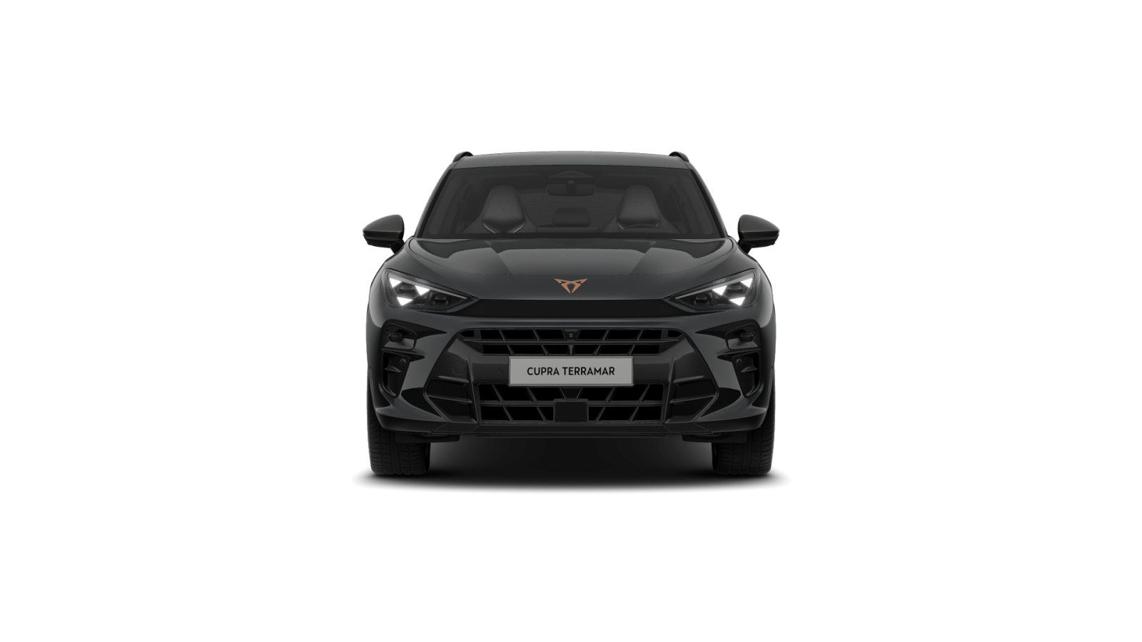 Cupra Terramar - Bild 2