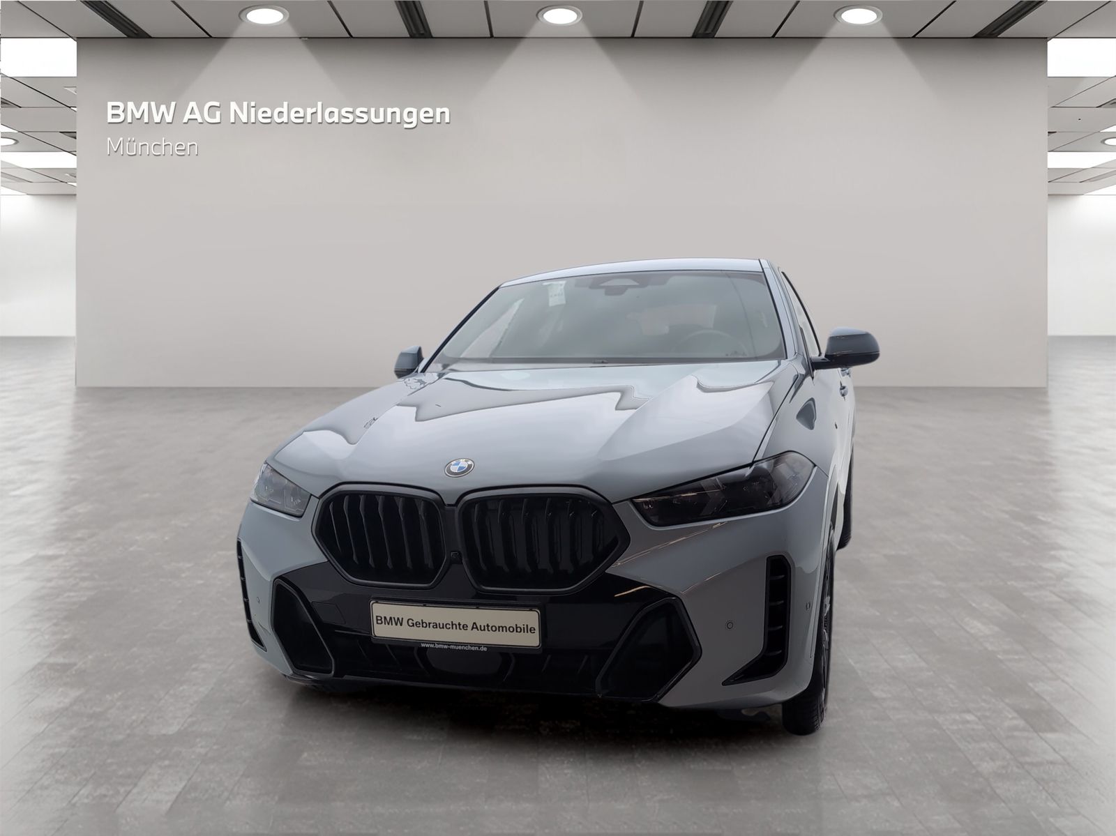 BMW X6 xDrive30d M Sport Harman K LiveCockpitProf foto 3