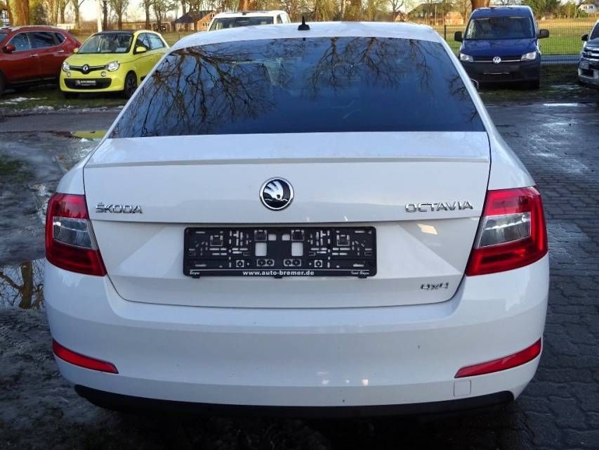 Fahrzeugabbildung SKODA Octavia 1,8 TSI 4*4 DSG    L&K  Standheizung