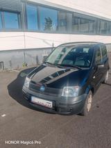 Fiat Panda - Fiat Panda Gebrauchtwagen in Frankfurt