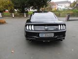Ford Mustang Basis Fastback - Ford Mustang: Fastback