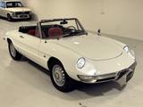 Alfa Romeo Spider 1600 Duetto 40.000,- € Invest 2022-2025 - Alfa Romeo Spider: Weiß