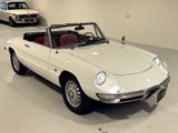 Alfa Romeo Spider 1600 Duetto 40.000,- € Invest 2022-2025 - Alfa Romeo Spider in Hamburg