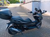 Honda Forza 350 NSS  - Offers matching your search criteria