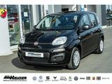 Fiat Pandina ICON Hybrid 1.0 GSE TEMPOMAT PDC LANE KL - schwarze Fiat New Panda