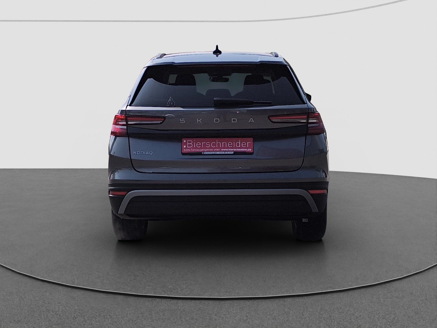 Skoda Kodiaq - Bild 8