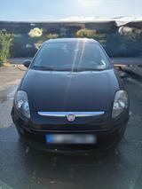 Fiat Punto Evo - Fiat Punto Evo in Köln