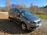 Volkswagen Caddy Maxi Comfort 1,4 TSI DSG, 7 Sitzer - Volkswagen Caddy Maxi Kombi Gebrauchtwagen