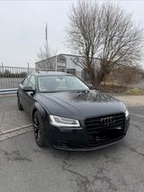 Audi A8 4.2 TDI Quattro  - Audi A8: Grün