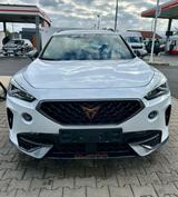 Cupra Formentor 2.0 TSI 228kW VZ 4Drive DSG VZ - Cupra Formentor in Nürnberg